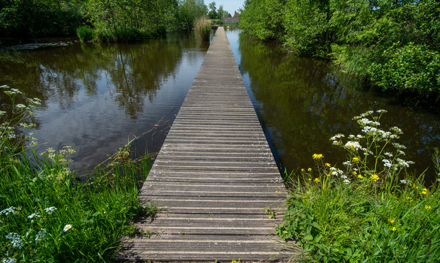 Old wooden pier in nature trail
