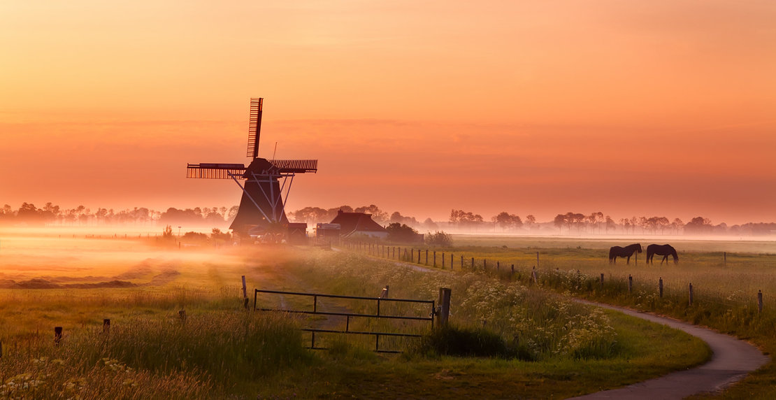 windmill and horses on pasture at sunrise