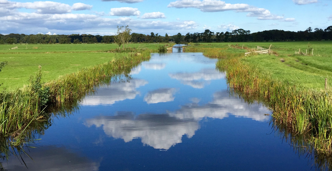 Dutch canal and grass Landscape